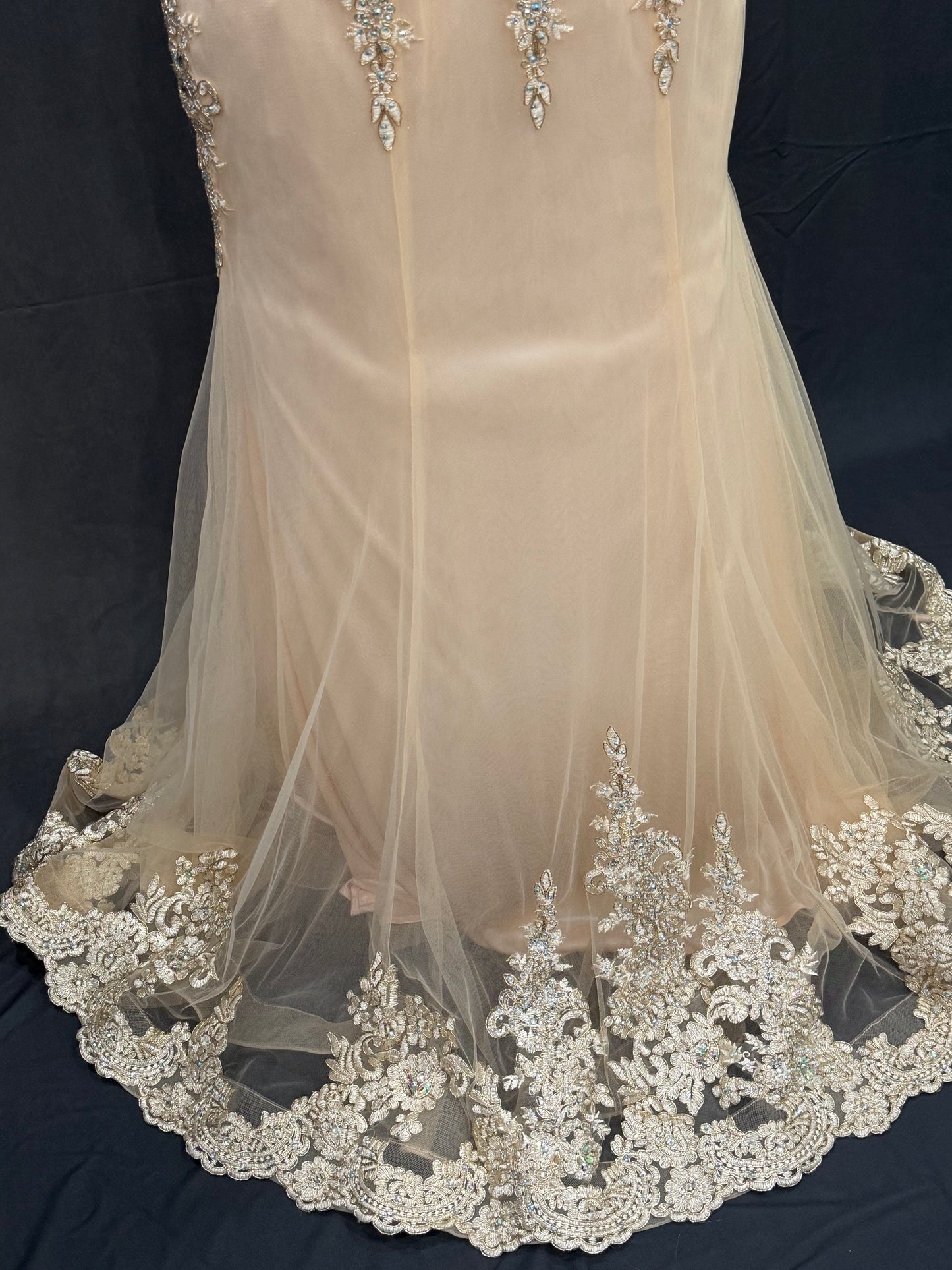 Beautiful Beaded and embroidery  Evening fish cut style gown with trail on the backside 32