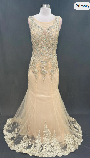 Beautiful Beaded and embroidery  Evening fish cut style gown with trail on the backside 32